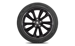 Kompletní zimní kolo Procyon 18" pro Škoda Karoq (4x2)