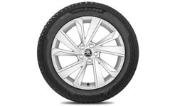 Kompletní zimní kolo Riegel 17" pro Škoda Fabia IV