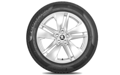 Kompletní zimní kolo Proteus 19" zadní pro Škoda Enyaq a Elroq