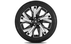 Kompletní zimní kolo Remo 20" zadní pro Škoda Elroq a Enyaq